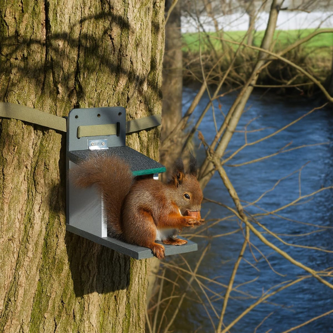 Holznager | Eichhörnchen Futterhaus wetterfest, sehr stabil und sicher | Handmade aus eigener Produk