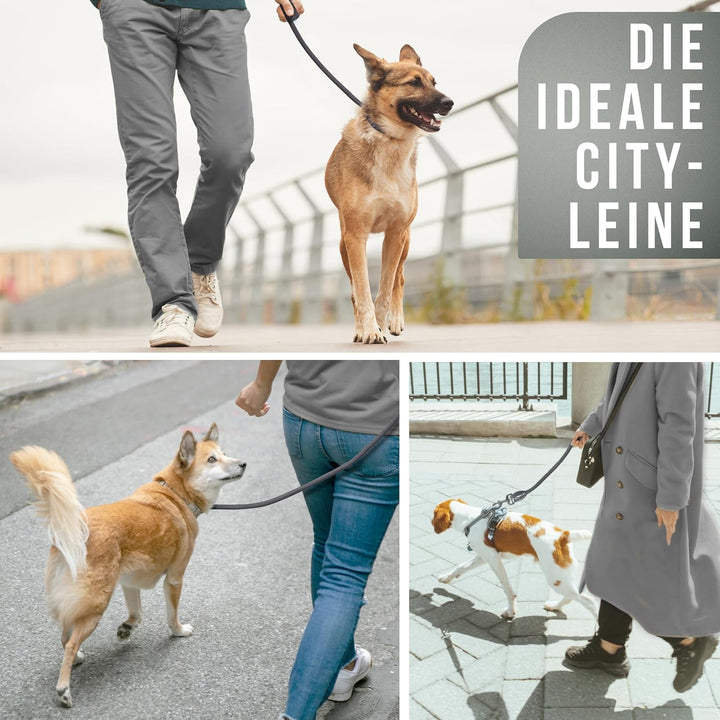 ne&no Tauleine für mittelgrosse bis ganz grosse Hunde 1.7m I Trainingsleine I Hundeleine robust I Fü