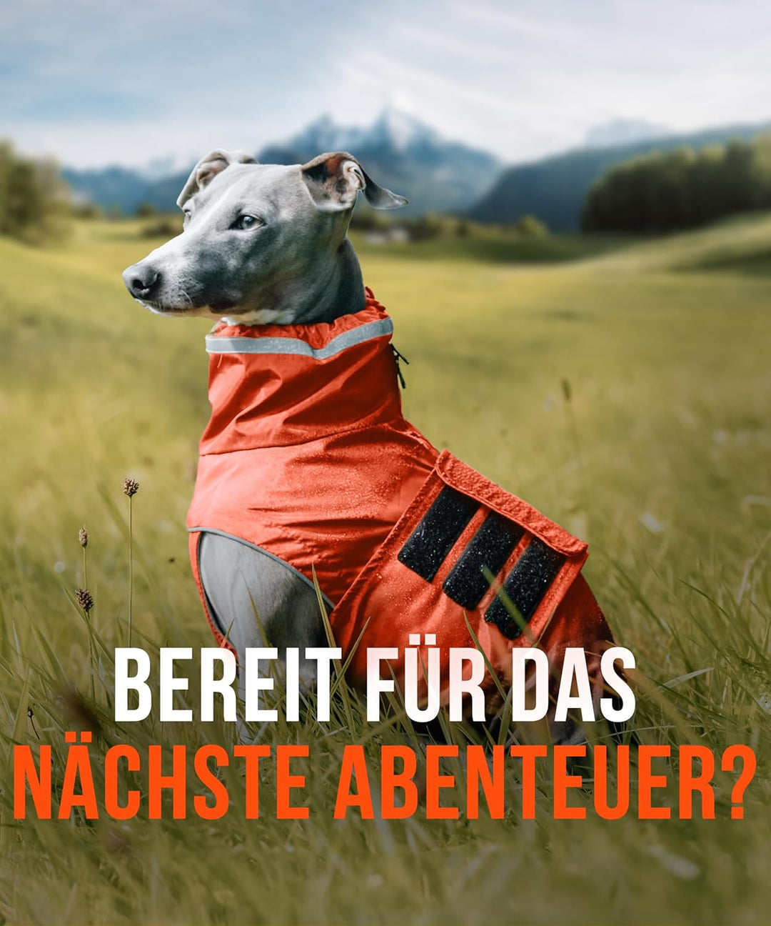 ZAUBERPFOTE® Hunderegenmantel London I Mit extra langem YKK® Reissverschluss für Halsband &amp; Geschirr