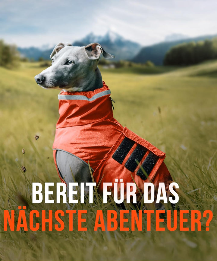 ZAUBERPFOTE® Hunderegenmantel London I Mit extra langem YKK® Reissverschluss für Halsband &amp; Geschirr