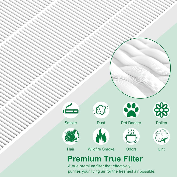 116130 Ersatzfilter H für Winix 5500-2 AM80 Luftreiniger, echte HEPA-Aktivkohle-Vorfilter, 2 Stück w