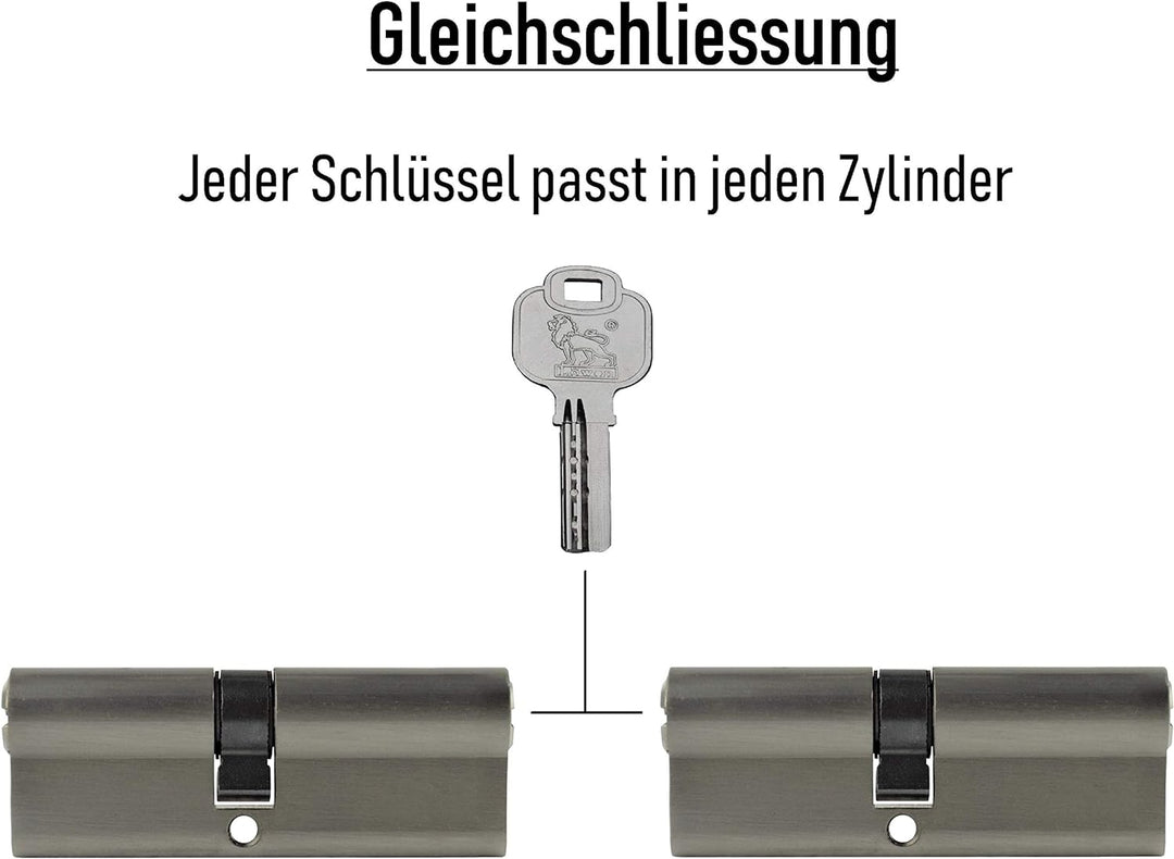 2x Profilzylinder 95 mm 45/50 gleichschliessend inkl. 10 Schlüssel