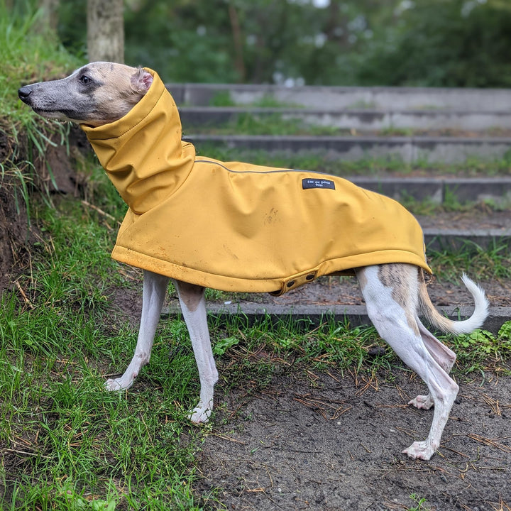 EDEL&SCHNELL Hunderegenjacke reflektierend, Hunderegenmantel aus robustem Softshell, Regenjacke für