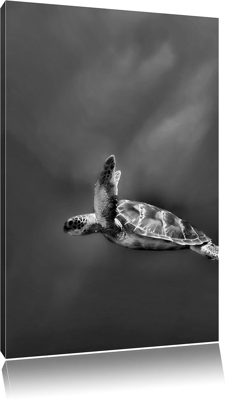 Pixxprint Schildkröte im Meer als Leinwandbild/Grösse: 100x70 cm/Wandbild/Kunstdruck/fertig bespannt
