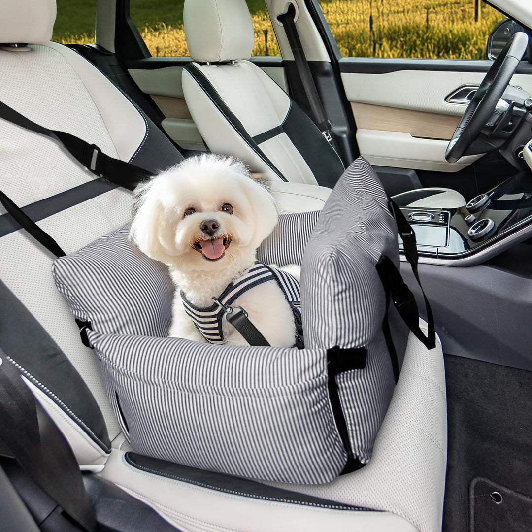 Hunde-Autositz für kleine, mittelgrosse Hunde – erhöhter Haustiersitz mit Sicherheitsgurt, rutschfes