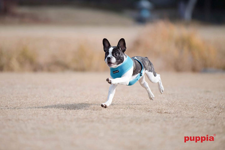 Puppia Hundegeschirr für kleine und mittelgrosse Hunde - super weich in vielen Farben - Auch als Wel