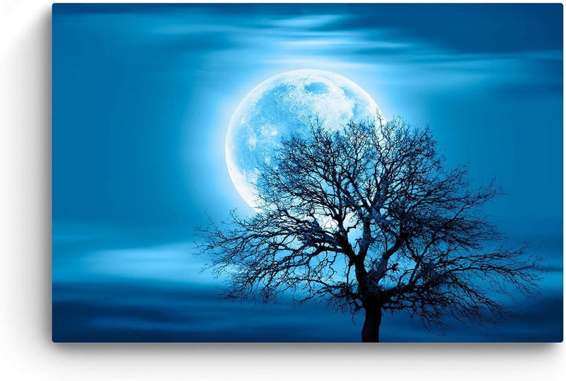 Startonight Bilder - Blauer Himmel und Baum - Leinwandbilder Moderne Kunst, Wanddeko Kunstdrucke, Wa