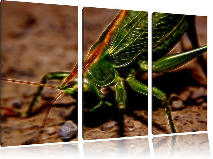 schöne Heuschrecke NewArt 3-Teiler Leinwandbild 120x80 Bild auf Leinwand, XXL riesige Bilder fertig