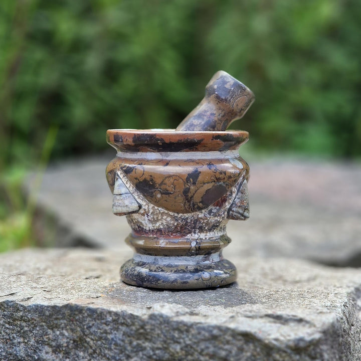 Budawi® Orthoceras Gewürz Mörser mit Stössel – Handgefertigter Küchenmörser aus Naturstein – Fossile