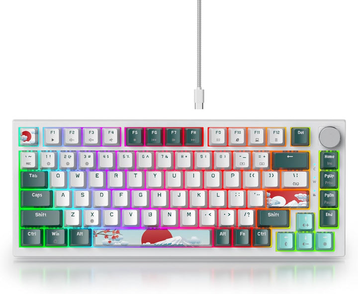 SOLIDEE Verkabelte Mechanische Gaming Tastatur 75%,hot-swap-fähige mechanische Tastatur Gasket Struk