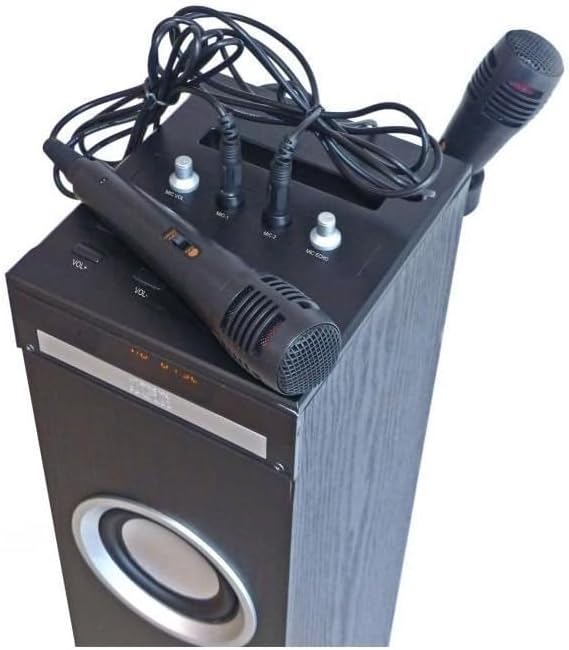 Inovalley Soundturm HP49CD 100 W