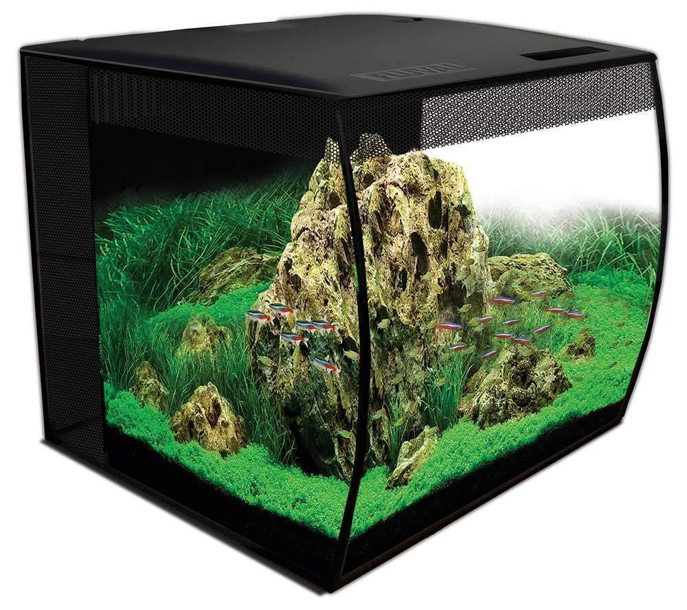 FLUVAL Aquarium Flex LED ohne Unterschrank für Aquarien schwarz 57 l schwarz 1 Stück (1er