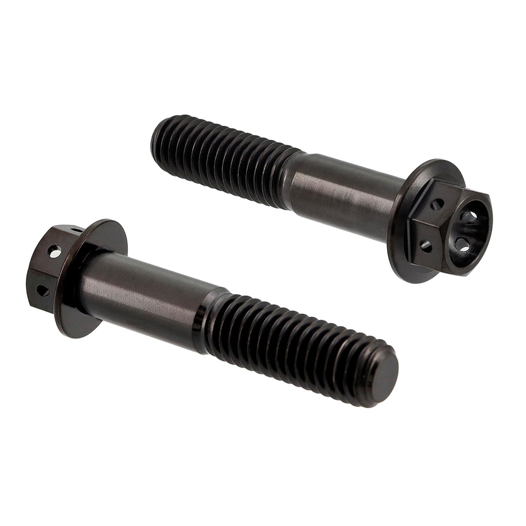 RISON Titanium Bolzen M6x1.0x25mm Titan Flansch Schrauben TC4 Titan Schrauben Sechskantschraube Schw