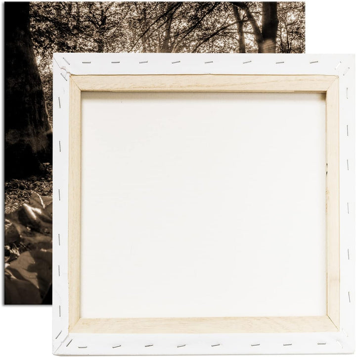 sonniger Tag im Wald Effekt: Sepia, Format: 60x60 als Leinwandbild, Motiv fertig gerahmt auf Echthol