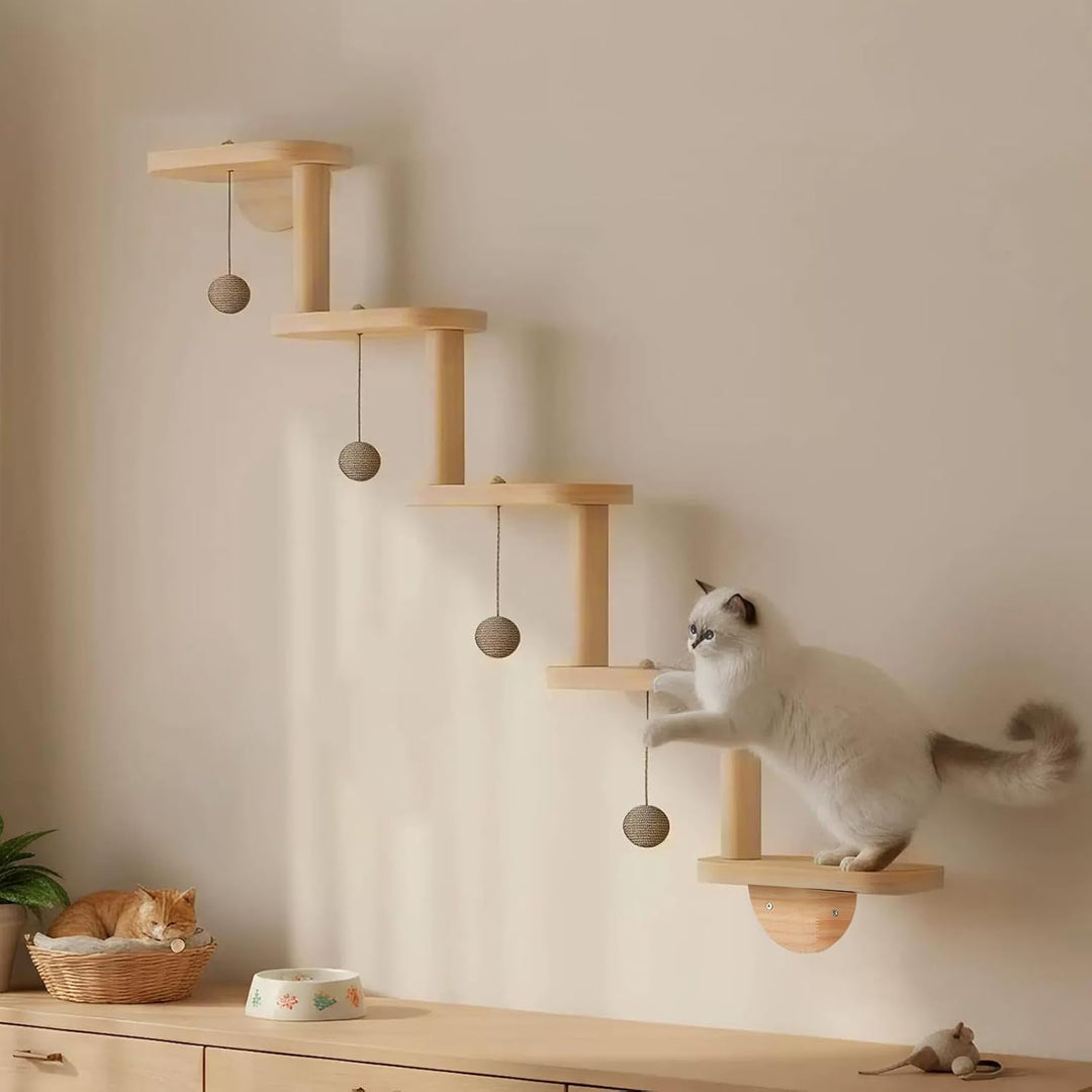 Katzenwand mit Katzentreppe &amp; Hängendem Spielball, 2 in 1 | Kratzbaum, 5 Ebenen Katzenkletterwand, M