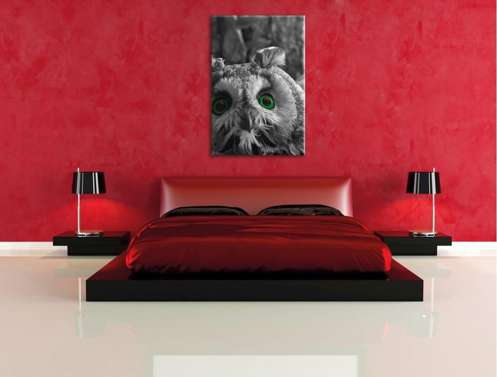 Pixxprint Niedliche Eule mit Grünen Augen als Leinwandbild/Grösse: 120x80 cm/Wandbild/Kunstdruck/fer