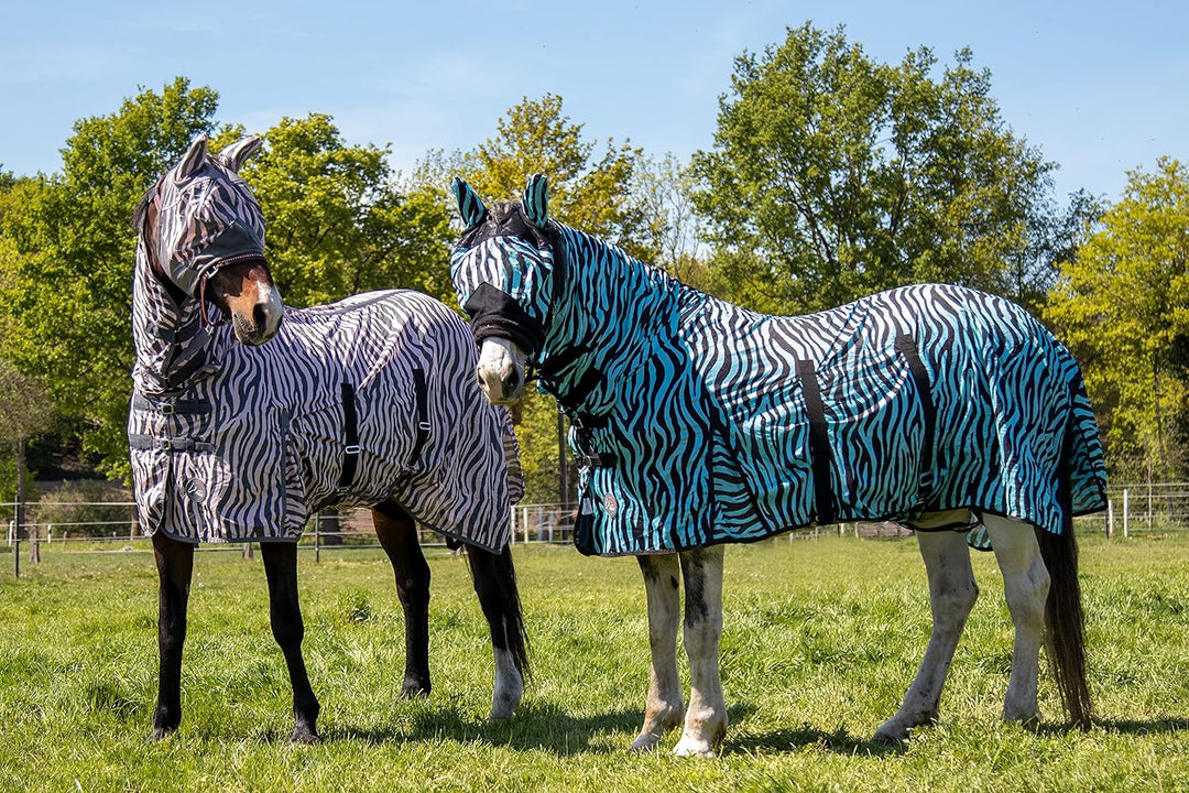 HKM Zebra Aqua Fliegendecke mit Halsteil, Aqua/Schwarz, 125 Grösse
