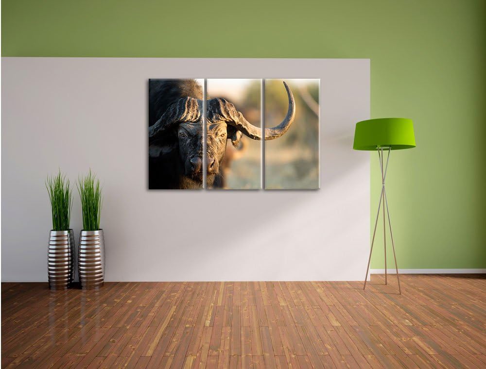 Pixxprint Kaffernbüffel mit Hörnern / 3-Teilig/Gesamtmass 120cm Leinwandbild bespannt auf Holzrahmen