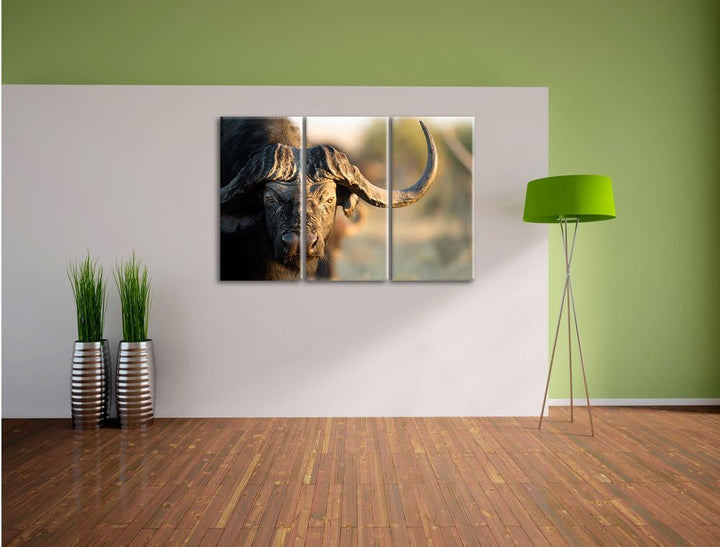Pixxprint Kaffernbüffel mit Hörnern / 3-Teilig/Gesamtmass 120cm Leinwandbild bespannt auf Holzrahmen
