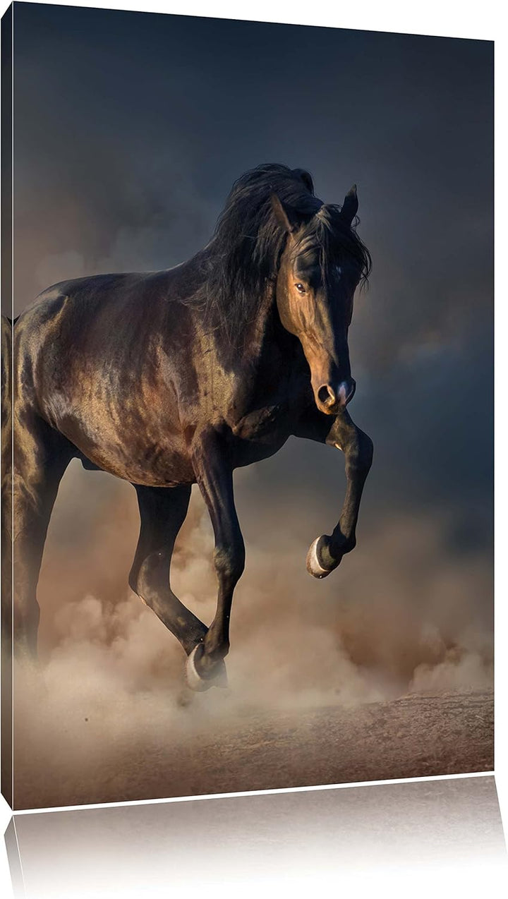 Schwarzes Pferd, Format: 100x70 auf Leinwand, XXL riesige Bilder fertig gerahmt mit Keilrahmen, Kuns