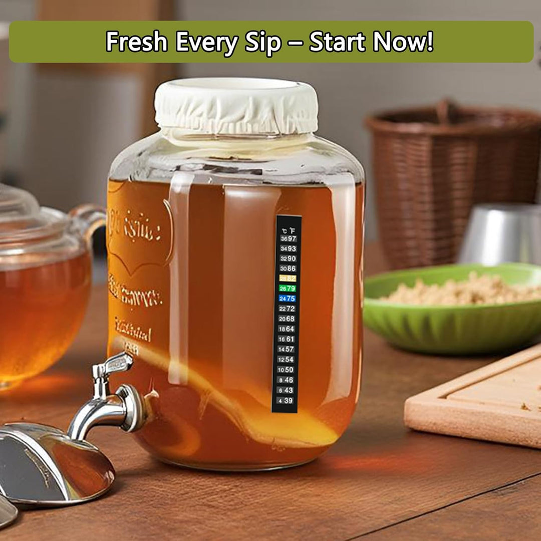 Kombucha Brauset mit 5,0L Glasfermenter & Hahn – Komplett-Set mit Edelstahl-Trichter, Tuch, Temperat
