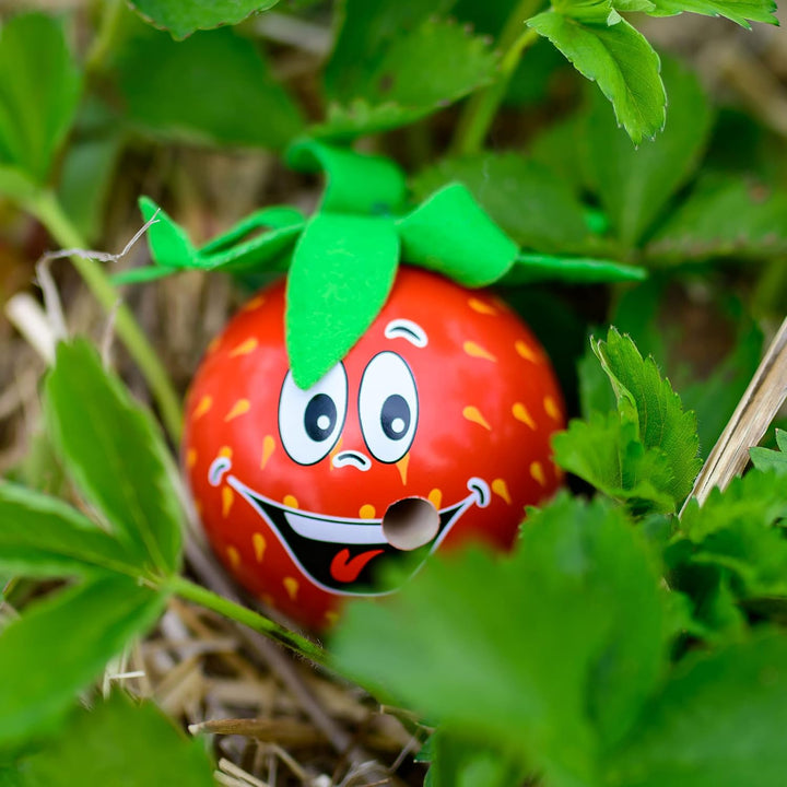 Seiffener Volkskunst | Räucherfigur aus dem Erzgebirge | Freche Früchtchen 7 cm inkl. Crottendorfer