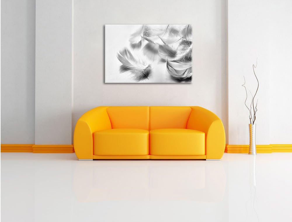 Pixxprint Monocrome, Weisse Feder auf schwarzem Stein, Format: 100x70 auf Leinwand, 100x70