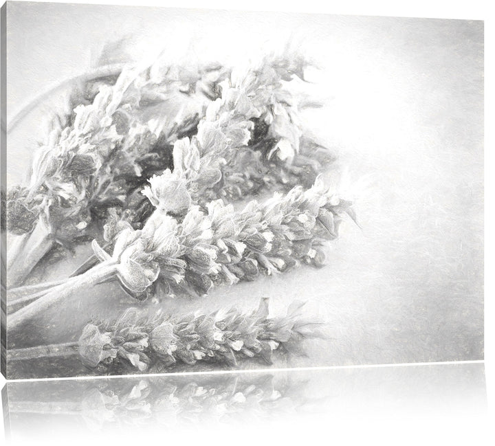 Pixxprint getrockneter Lavendel Kunst als Leinwandbild/Grösse: 100x70 cm/Wandbild/Kunstdruck/fertig