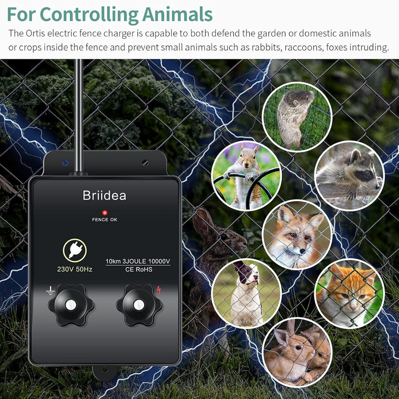 230V Weidezaungerät, Briidea 6.2 Meilen Elektrozaungerät für Hundezaun, Viehzaun, Eichhörnchen, verw
