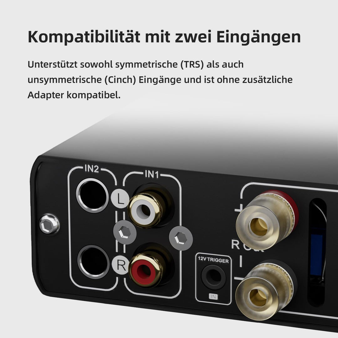 Topping Mini300 HiFi-Verstärker, Vollständig symmetrischer 140W Kompakt-Class-D Stereo-Verstärker, R