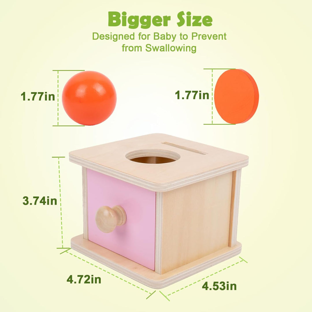 Adena Montessori Spielzeug ab 6 Monate – 2-in-1 Holz Münzbox & Ballbox für Babys – Lernspielzeug zur