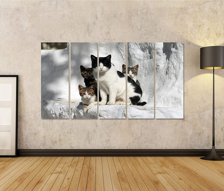 islandburner Bild auf Leinwand Katzen Griechenland Vor Wand Im Griechischen Stil Bilder Wandbilder P
