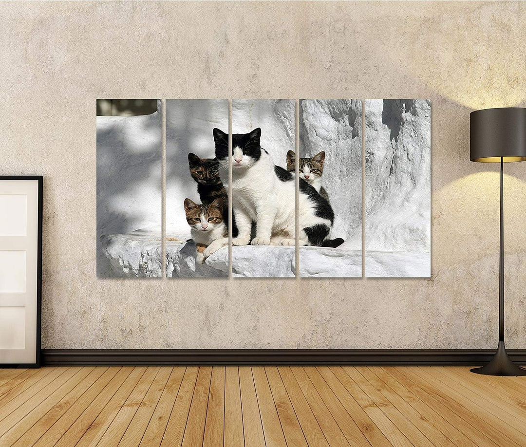 islandburner Bild auf Leinwand Katzen Griechenland Vor Wand Im Griechischen Stil Bilder Wandbilder P
