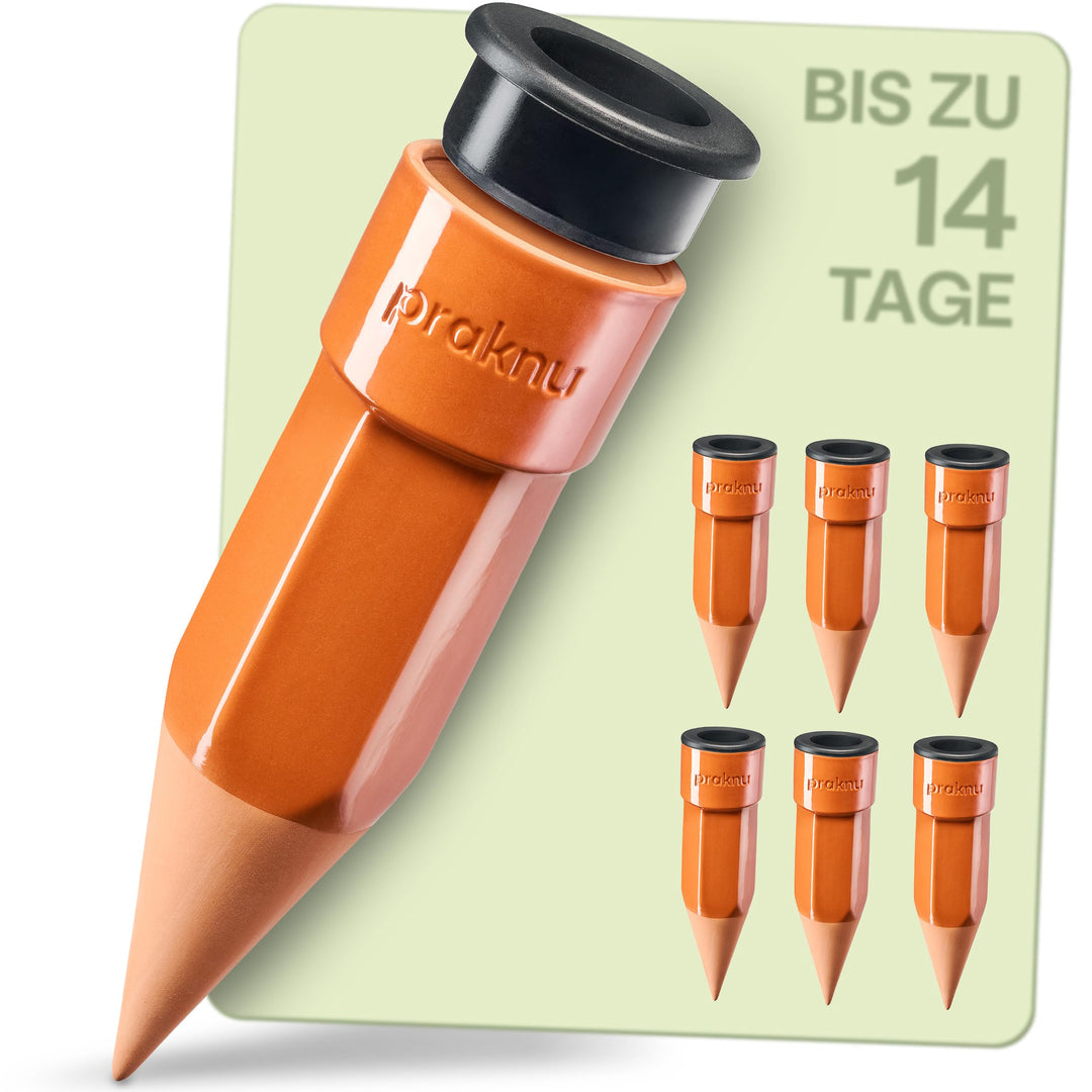 Praknu 6x Tonkegel Bewässerung Gross – Bis zu 14 Tage – Auslaufsicherem mit Adapter – Bewässerung fü