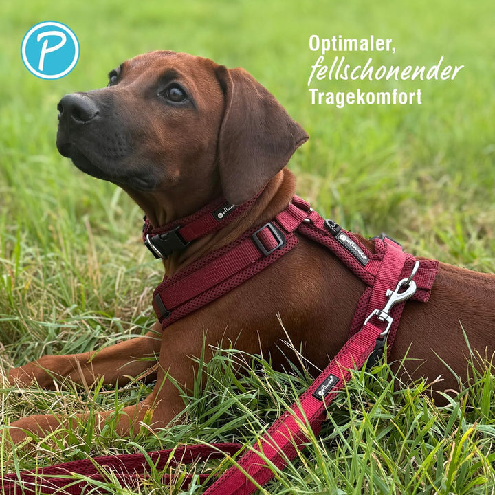 Petlando Hundegeschirr gepolstert, Mesh Y-Comfort, weich, stufenlos verstellbar, besonders leicht &amp;