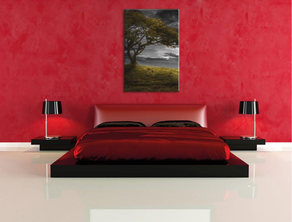 Pixxprint Alleinstehender Baum schwarz/weiss als Leinwandbild/Grösse: 100x70 cm/Wandbild/Kunstdruck/