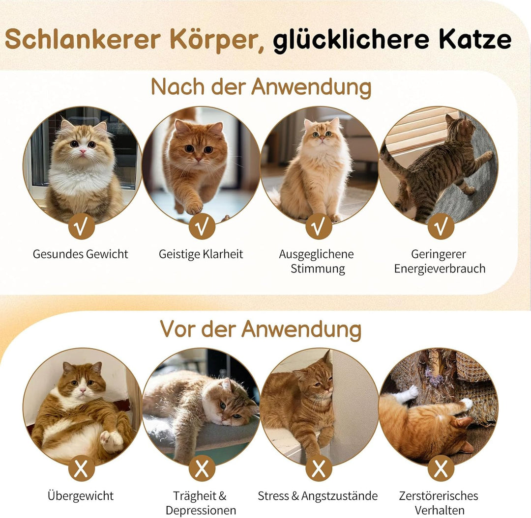 LEADZM Katzenlaufrad 80cm Durchmesser - Laufrad Katze aus Kunststoff, Inklusive Teppich und Katzensp