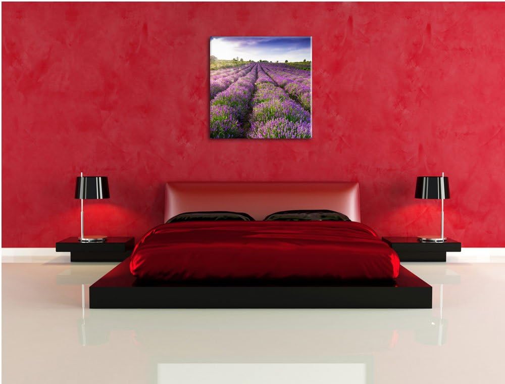 Lavendelfeld Provence, Format: 70x70 auf Leinwand, XXL riesige Bilder fertig gerahmt mit Keilrahmen,