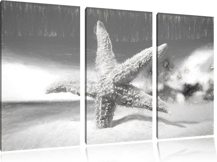 Pixxprint Seestern Sandstrand als Leinwandbild/Grösse: 3 Teilig (120x80) / Wandbild/Kunstdruck/ferti