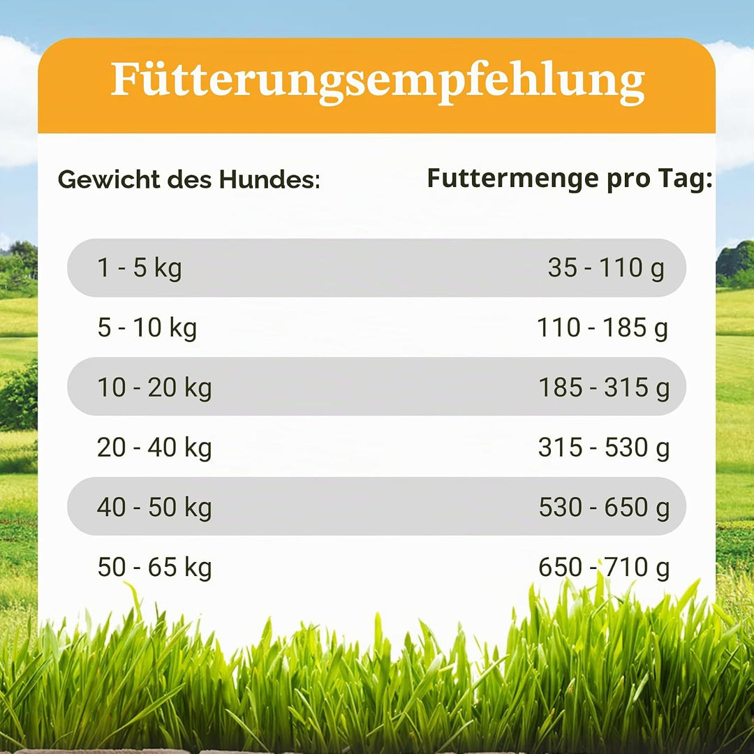 Bellfor Freiland-Schmaus Trockenfutter mit Huhn Getreidefrei Optimal für ernährungssensible Hunde Ho