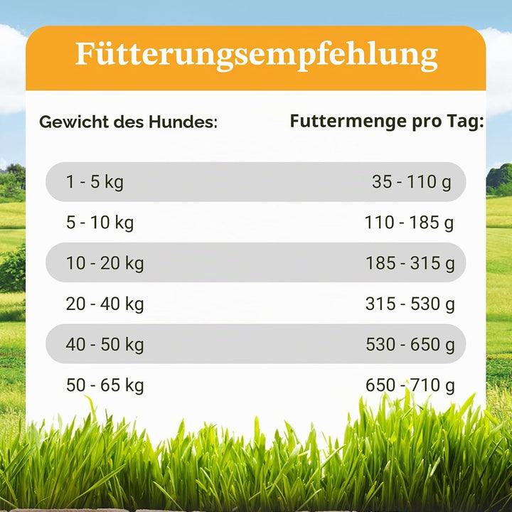 Bellfor Freiland-Schmaus Trockenfutter mit Huhn Getreidefrei Optimal für ernährungssensible Hunde Ho