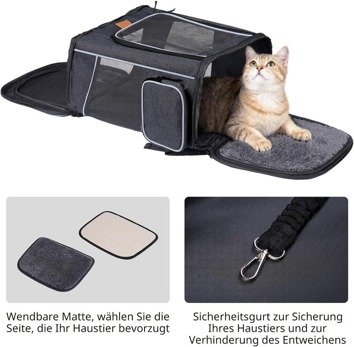 Morpilot Katzenrucksack, Hunderucksack für Katzen und Hunde Welpen, Atmungsaktive und Faltbare Haust