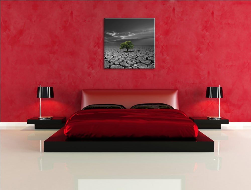 Pixxprint einsamer Baum auf ausgetrocknetem Boden schwarz/weiss, Format: 70x70 auf Leinwand, 70x70
