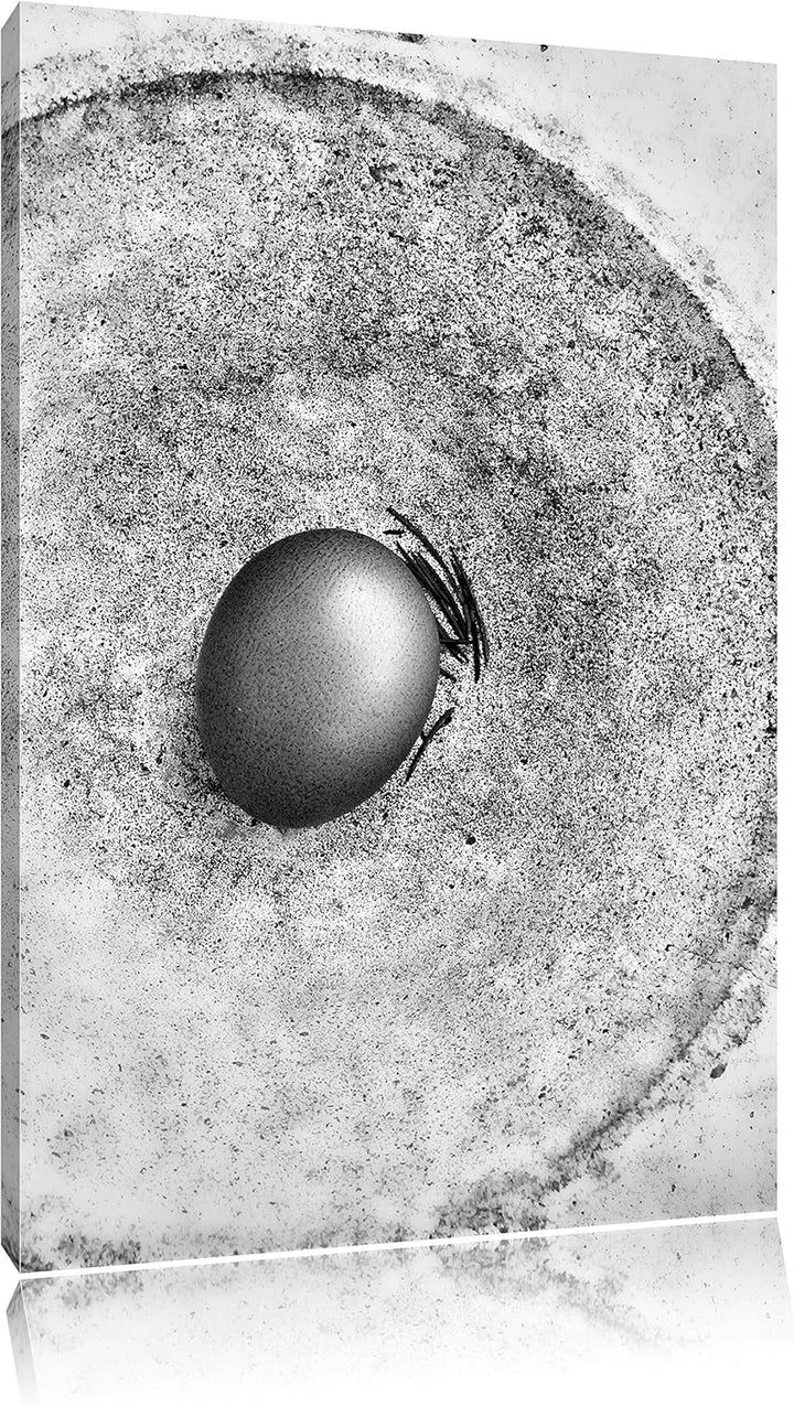 Pixxprint Monocrome, braunes Ei in Keramikschale, Format: 100x70 auf Leinwand, 100x70