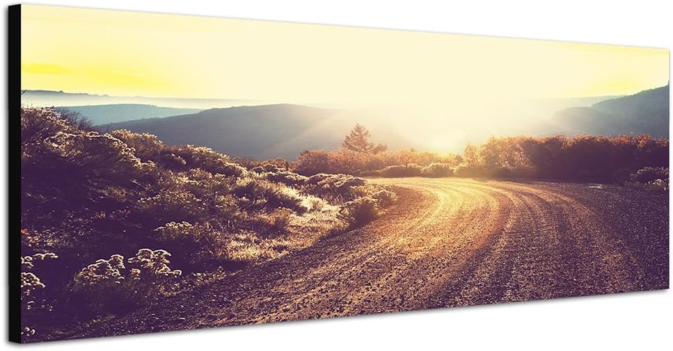 Paul Sinus Art Panoramabild auf Leinwand und Keilrahmen 150x50cm Wiesen Bäume Berge Strasse Sonnenau