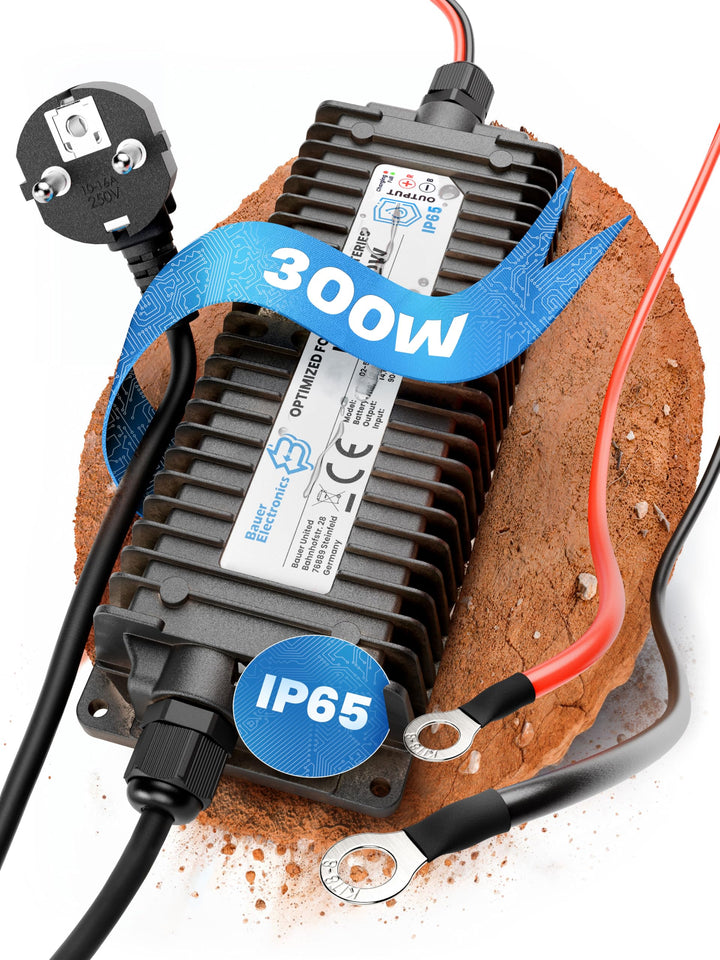 24V Batterie-Ladegerät LiFePO4 29,2V 10A 300W | Optimiert für Lithium-Eisenphosphat-Akku | Auto-Batt