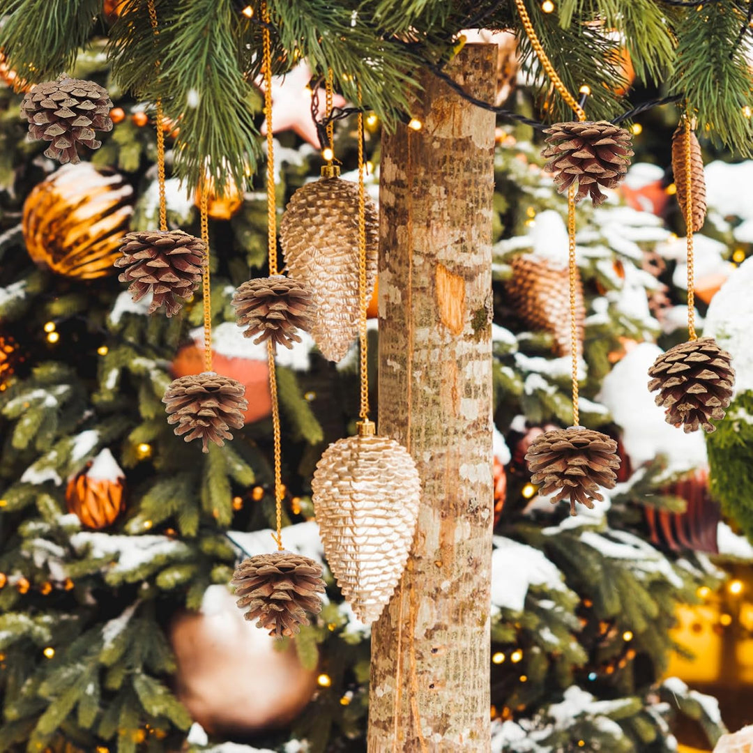24 Stück Tannenzapfen Gross,5cm Kiefernzapfen mit Goldenem Schlüsselband, Zapfen Deko Weihnachten fü