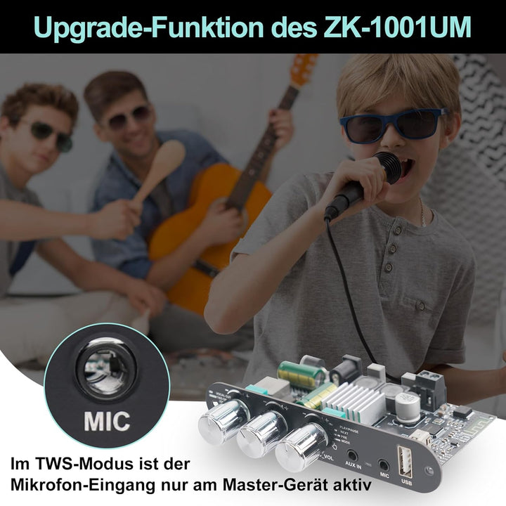 Bluetooth 5.3 Mono Verstärker Board Modul, 100W Audioverstärker mit Echo & EQ-Regelung, TWS-Pairing