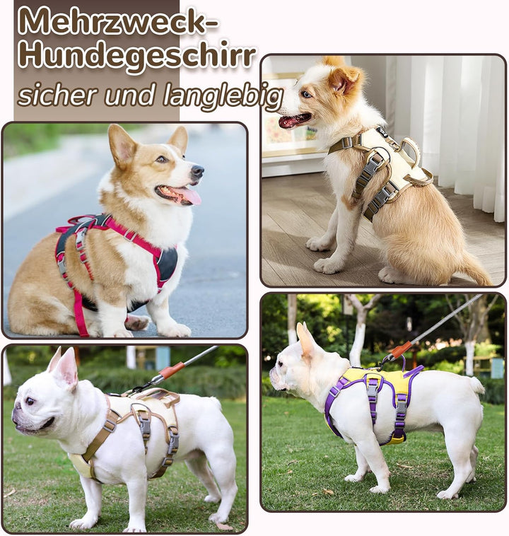 Mehrzweck-Hundegeschirr mit Leine Set, Ausbruchsicheres Anti Zug Hundegeschirr, Anti Zug Geschirr Hu