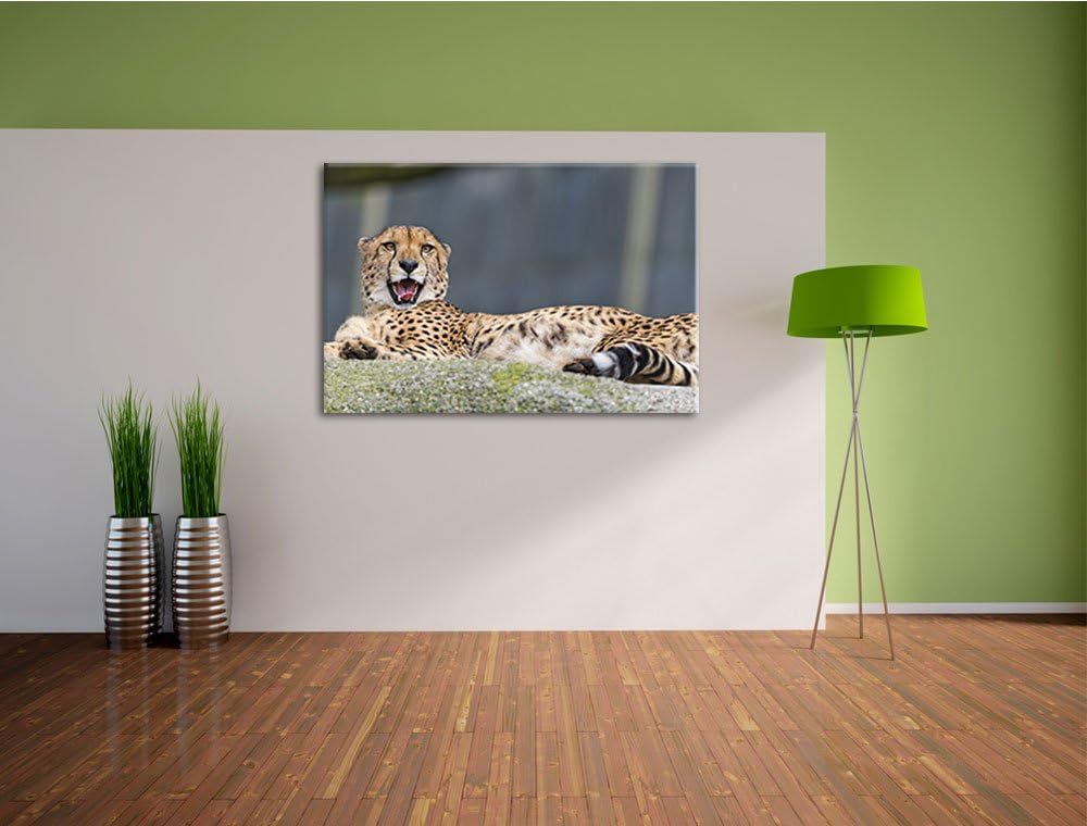 Pixxprint schlafender Gepard auf Leinwand, XXL riesige Bilder fertig gerahmt mit Keilrahmen, Kunstdr